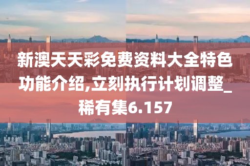 新澳天天彩免費資料大全特色功能介紹,立刻執行計劃調整_稀有集6.157