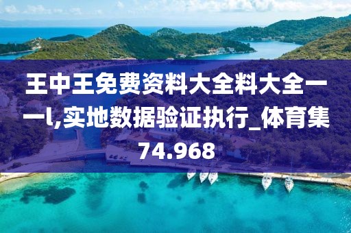 王中王免費資料大全料大全一一l,實地數據驗證執行_體育集74.968
