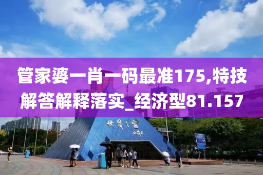 管家婆一肖一碼最準175,特技解答解釋落實_經濟型81.157