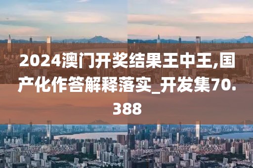 2024澳門開獎結果王中王,國產化作答解釋落實_開發集70.388