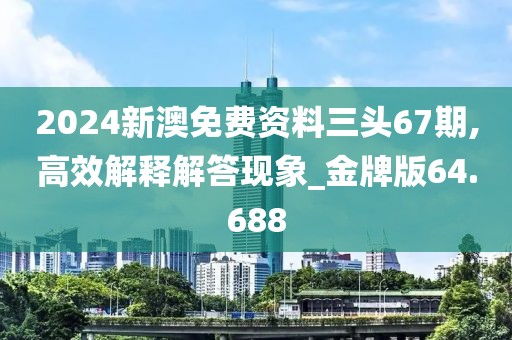 2024新澳免費資料三頭67期,高效解釋解答現象_金牌版64.688