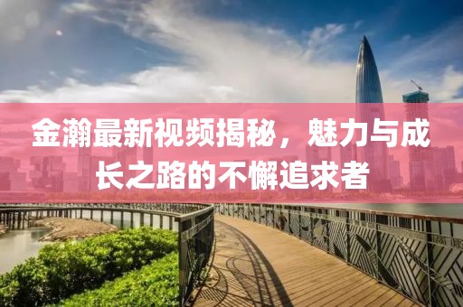 金瀚最新視頻揭秘，魅力與成長之路的不懈追求者