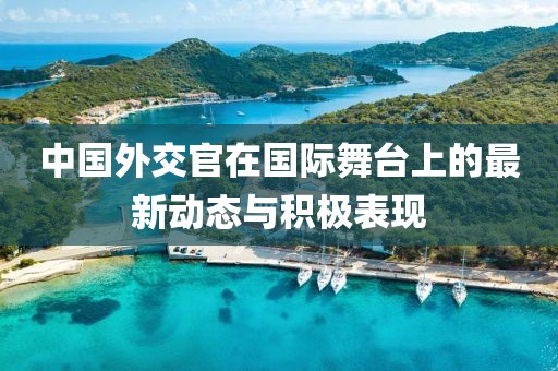 中國外交官在國際舞臺上的最新動態與積極表現