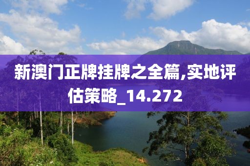 新澳門正牌掛牌之全篇,實地評估策略_14.272