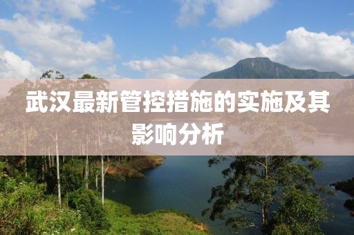 武漢最新管控措施的實施及其影響分析