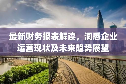 最新財務報表解讀，洞悉企業運營現狀及未來趨勢展望
