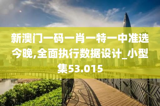 新澳門一碼一肖一特一中準選今晚,全面執行數據設計_小型集53.015