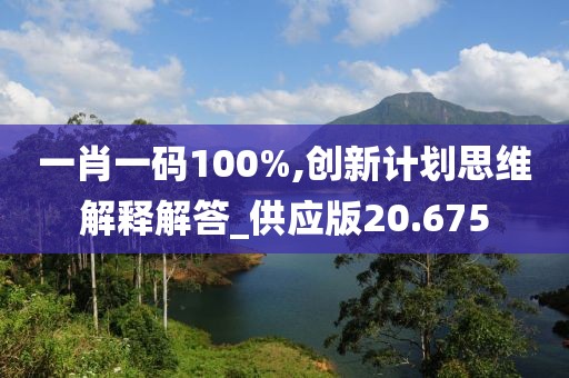 一肖一碼100%,創新計劃思維解釋解答_供應版20.675