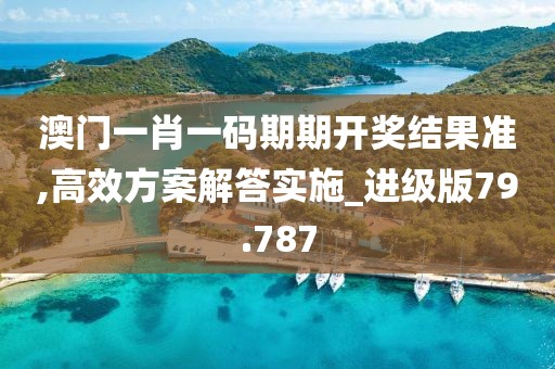 澳門一肖一碼期期開獎結果準,高效方案解答實施_進級版79.787