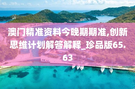 澳門精準資料今晚期期準,創新思維計劃解答解釋_珍品版65.63