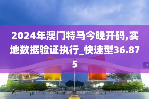 2024年澳門特馬今晚開碼,實地數據驗證執行_快速型36.875