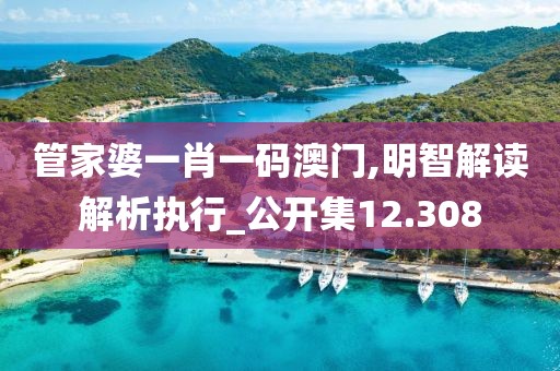 管家婆一肖一碼澳門,明智解讀解析執行_公開集12.308