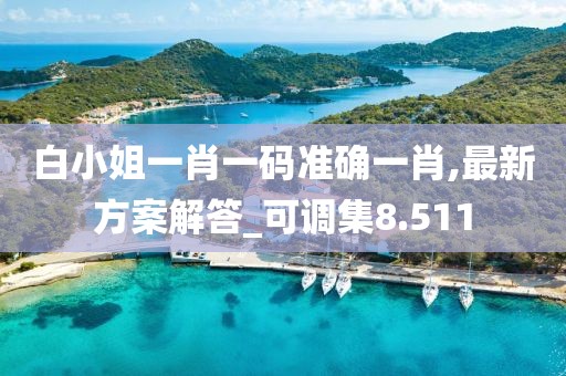 白小姐一肖一碼準確一肖,最新方案解答_可調集8.511