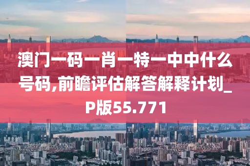 澳門一碼一肖一特一中中什么號碼,前瞻評估解答解釋計劃_P版55.771