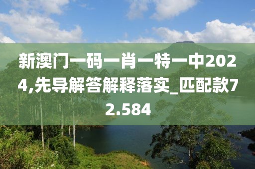 新澳門一碼一肖一特一中2024,先導解答解釋落實_匹配款72.584