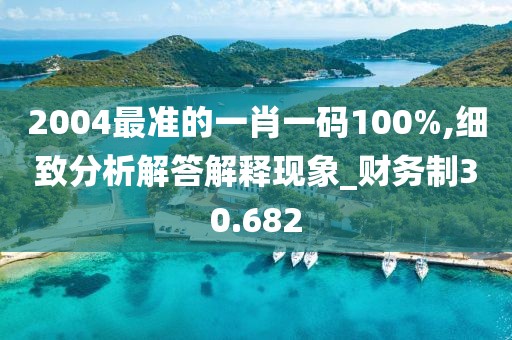2004最準的一肖一碼100%,細致分析解答解釋現象_財務制30.682