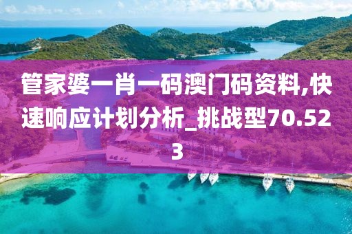 管家婆一肖一碼澳門碼資料,快速響應計劃分析_挑戰型70.523