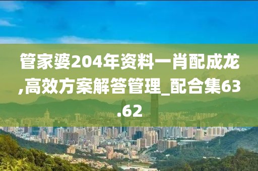 管家婆204年資料一肖配成龍,高效方案解答管理_配合集63.62