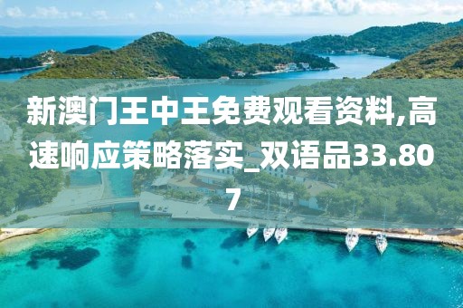 新澳門王中王免費觀看資料,高速響應策略落實_雙語品33.807