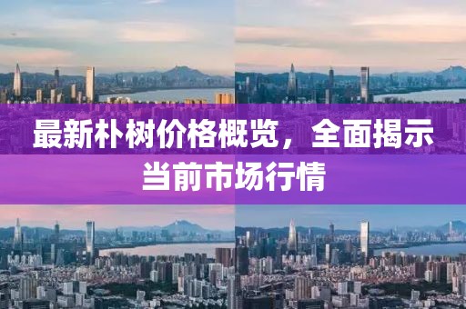 最新樸樹價格概覽，全面揭示當前市場行情
