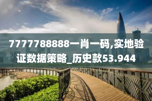 7777788888一肖一碼,實地驗證數據策略_歷史款53.944