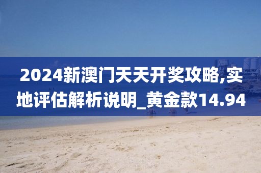 2024新澳門天天開獎攻略,實地評估解析說明_黃金款14.94