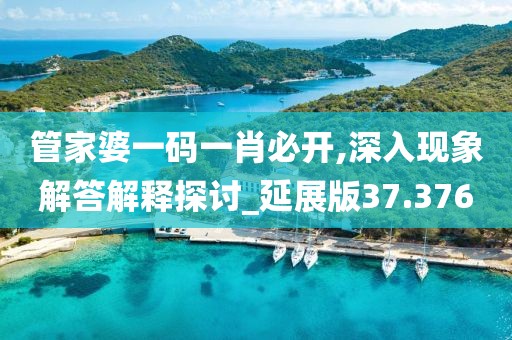 管家婆一碼一肖必開,深入現象解答解釋探討_延展版37.376