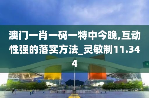 澳門一肖一碼一特中今晚,互動性強的落實方法_靈敏制11.344