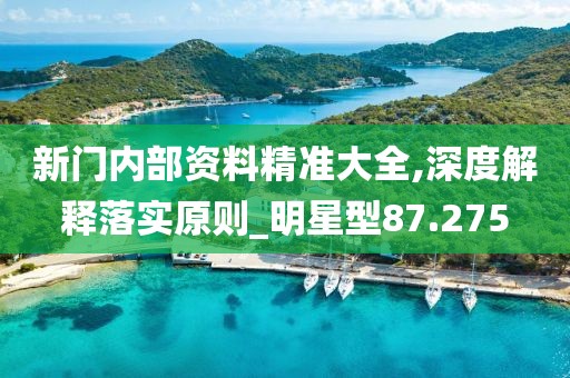 新門內部資料精準大全,深度解釋落實原則_明星型87.275