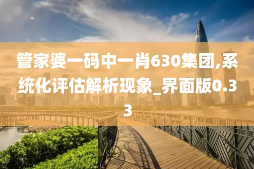 管家婆一碼中一肖630集團,系統化評估解析現象_界面版0.33