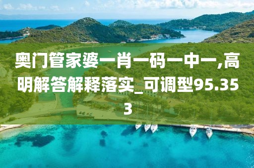 奧門管家婆一肖一碼一中一,高明解答解釋落實_可調型95.353
