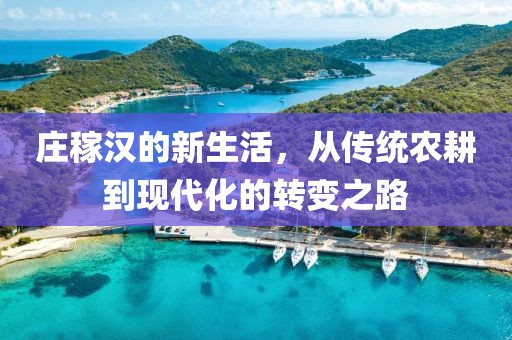 莊稼漢的新生活，從傳統農耕到現代化的轉變之路
