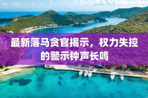 最新落馬貪官揭示，權力失控的警示鐘聲長鳴