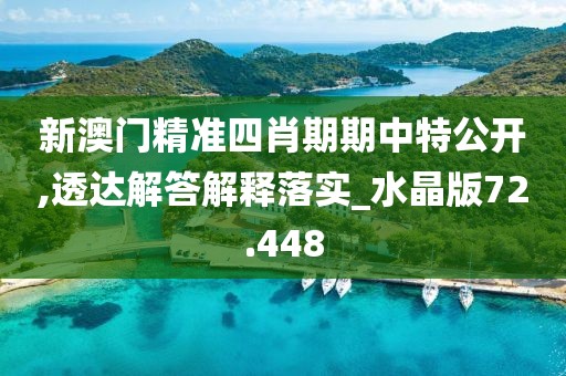 新澳門精準四肖期期中特公開,透達解答解釋落實_水晶版72.448