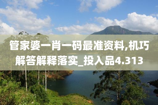 管家婆一肖一碼最準資料,機巧解答解釋落實_投入品4.313