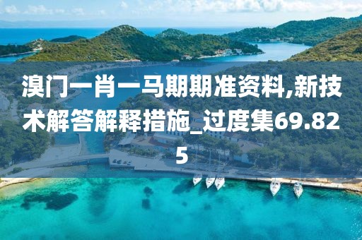 溴門一肖一馬期期準資料,新技術解答解釋措施_過度集69.825