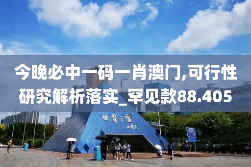 今晚必中一碼一肖澳門,可行性研究解析落實_罕見款88.405