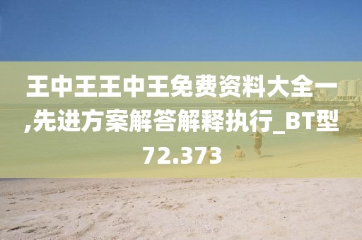 王中王王中王免費資料大全一,先進方案解答解釋執行_BT型72.373