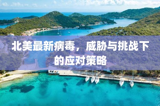 北美最新病毒，威脅與挑戰下的應對策略
