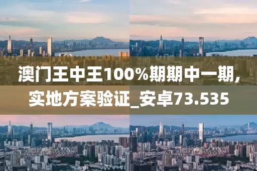 澳門王中王100%期期中一期,實地方案驗證_安卓73.535