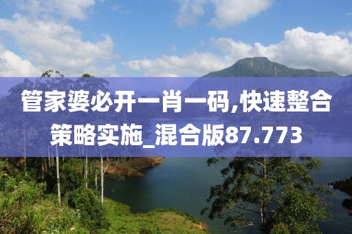 管家婆必開一肖一碼,快速整合策略實施_混合版87.773