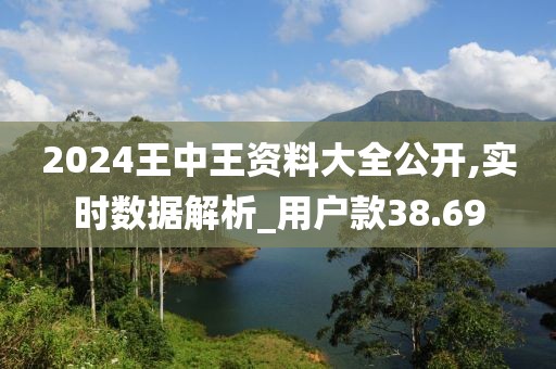2024王中王資料大全公開,實時數據解析_用戶款38.69