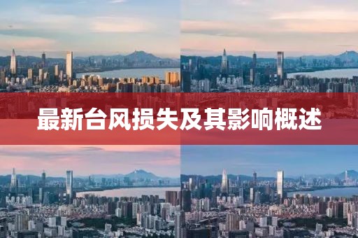 最新臺風損失及其影響概述