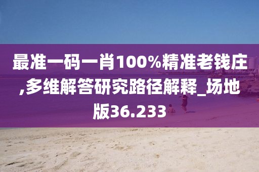 最準一碼一肖100%精準老錢莊,多維解答研究路徑解釋_場地版36.233