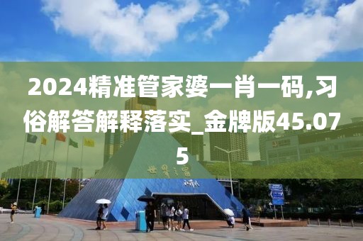 2024精準管家婆一肖一碼,習俗解答解釋落實_金牌版45.075