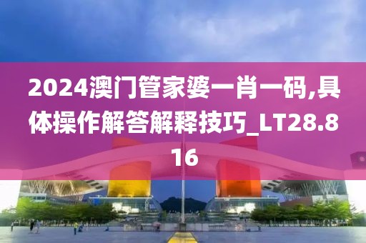 2024澳門管家婆一肖一碼,具體操作解答解釋技巧_LT28.816
