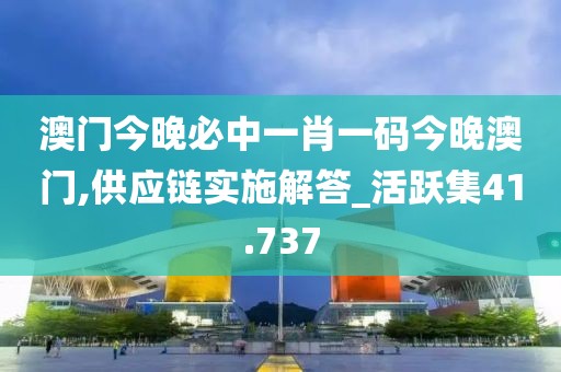 澳門今晚必中一肖一碼今晚澳門,供應鏈實施解答_活躍集41.737