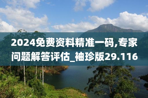 2024免費資料精準一碼,專家問題解答評估_袖珍版29.116