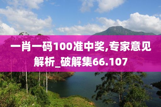 一肖一碼100準中獎,專家意見解析_破解集66.107