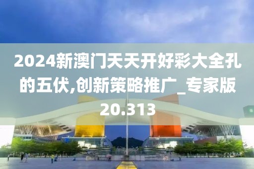 2024新澳門天天開好彩大全孔的五伏,創新策略推廣_專家版20.313